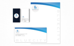 portfolio_design_work_blue_city_business_kit