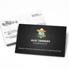 portfolio_design_work_business_card_alig_tannery