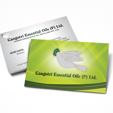 portfolio_design_work_business_card_gangotri_essentia_oils