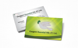 portfolio_design_work_business_card_gangotri_essentia_oils