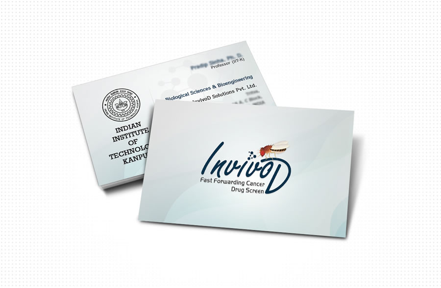 portfolio_design_work_business_card_invivod