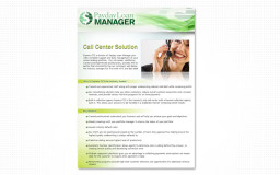 portfolio_design_work_flyer_payday_loan_manager