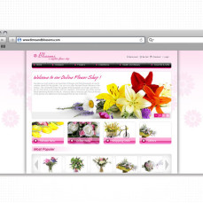 portfolio_web_work_browser_ferns_and_blossoms