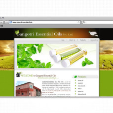 portfolio_web_work_browser_gangotri_essential_oils