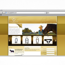 portfolio_web_work_browser_gng