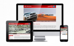 portfolio_web_work_toyota_oman